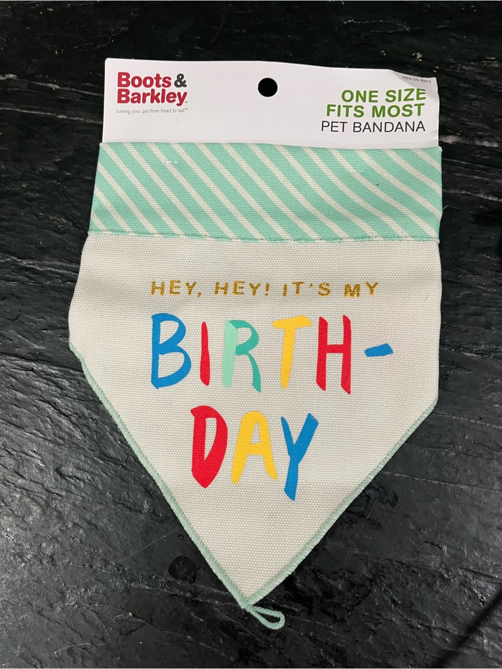 Boots & Barkley Mint, Cream & Multicolor 'Birthday' Pet Bandana